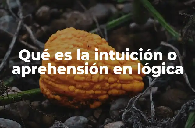Qué es la Intuición o Aprehensión en Lógica 2 La intuición como fundamento del conocimiento lógico