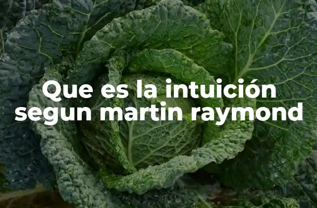 Que es la Intuición Segun Martin Raymond