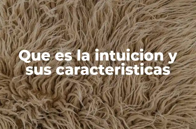 Que es la Intuicion y Sus Caracteristicas