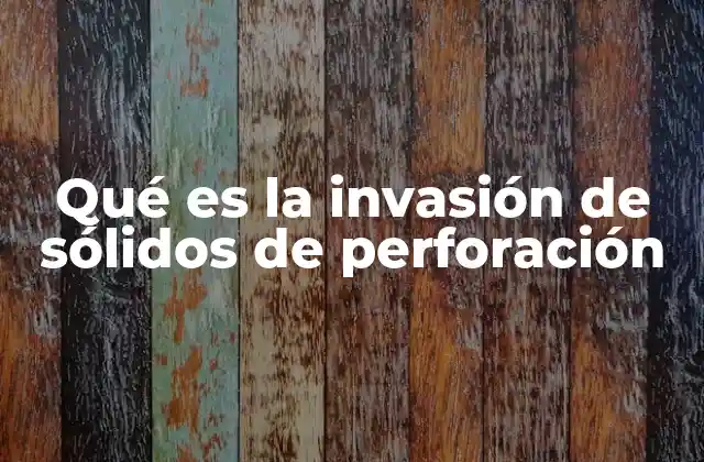 Qué es la Invasión de Sólidos de Perforación