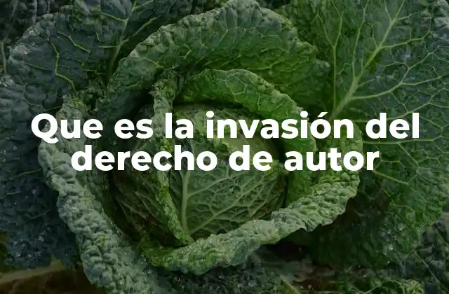Que es la Invasión Del Derecho de Autor