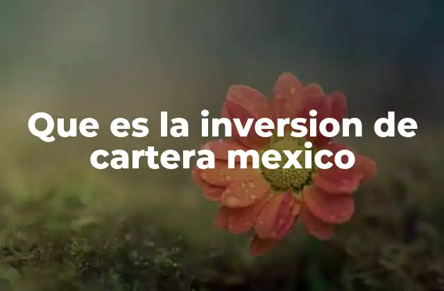 Que es la Inversion de Cartera Mexico