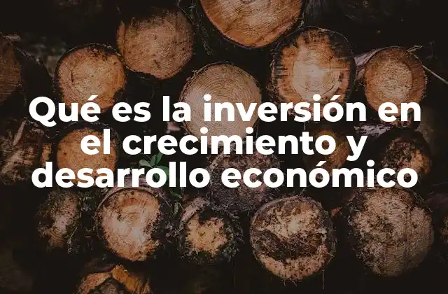Qué es la Inversión en el Crecimiento y Desarrollo Económico