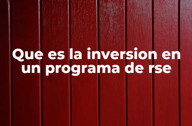 Que es la Inversion en un Programa de Rse