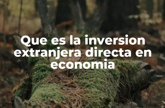 Que es la Inversion Extranjera Directa en Economia