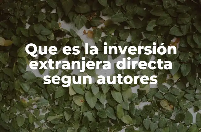 Que es la Inversión Extranjera Directa Segun Autores