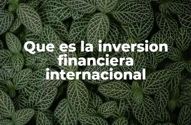 Que es la Inversion Financiera Internacional