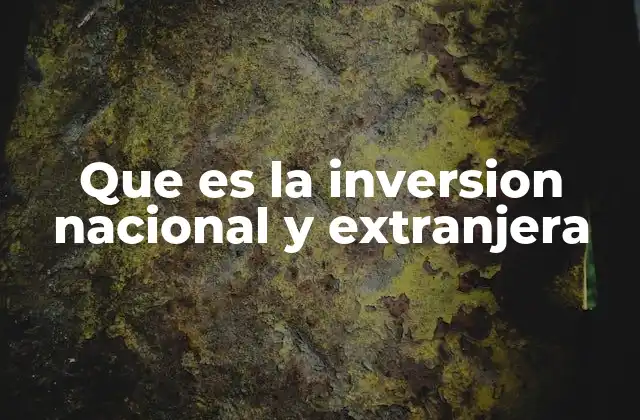 Que es la Inversion Nacional y Extranjera