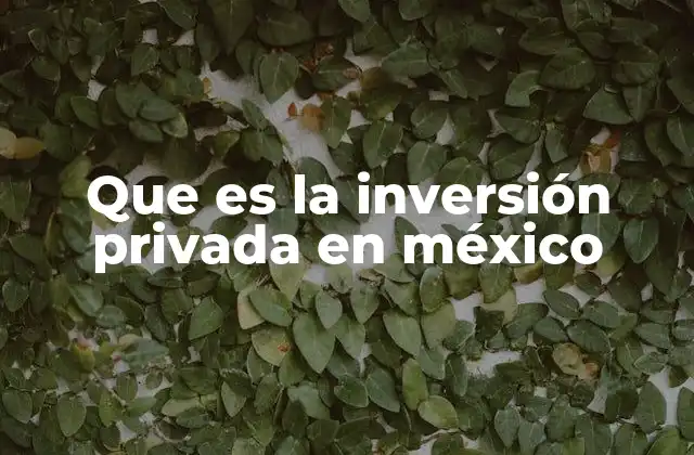 Que es la Inversión Privada en México