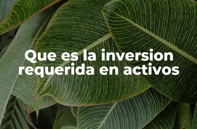 Que es la Inversion Requerida en Activos