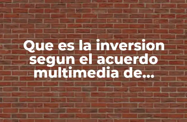 Que es la Inversion Segun el Acuerdo Multimedia de Inversiones
