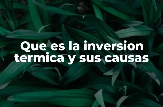 Que es la Inversion Termica y Sus Causas