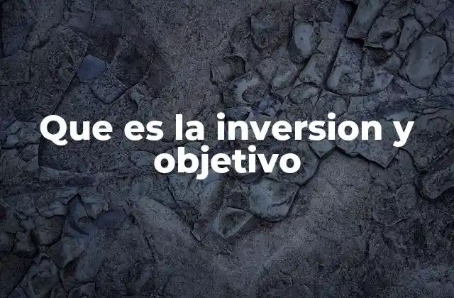 Que es la Inversion y Objetivo