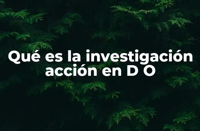Qué es la Investigación Acción en D o 2 El rol de la investigación acción en el diseño organizacional