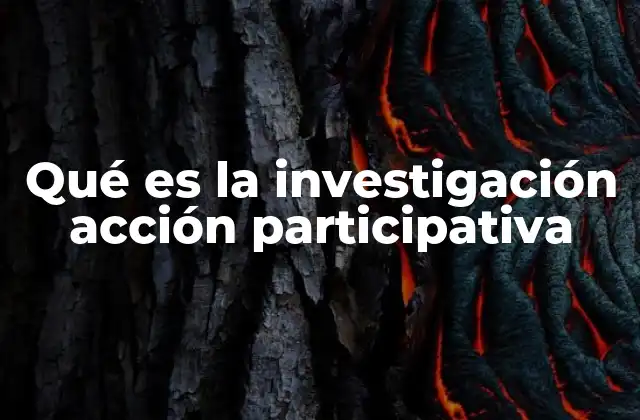 Qué es la Investigación Acción Participativa