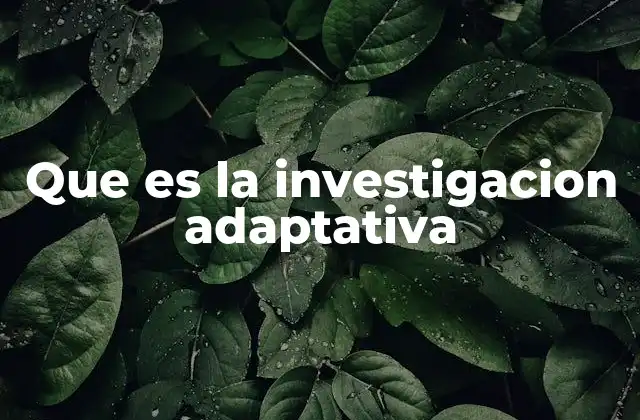 Que es la Investigacion Adaptativa