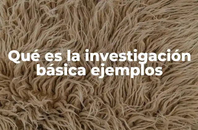 Qué es la Investigación Básica Ejemplos 2 El rol de la investigación en el avance científico