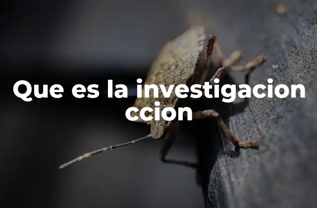 La importancia de la colaboración en la investigación acción