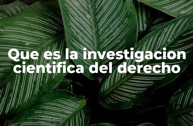 Que es la Investigacion Cientifica Del Derecho