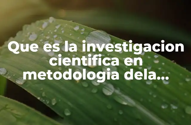 Que es la Investigacion Cientifica en Metodologia Dela Investigacion