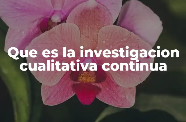 Que es la Investigacion Cualitativa Continua