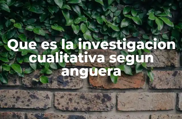 Que es la Investigacion Cualitativa Segun Anguera