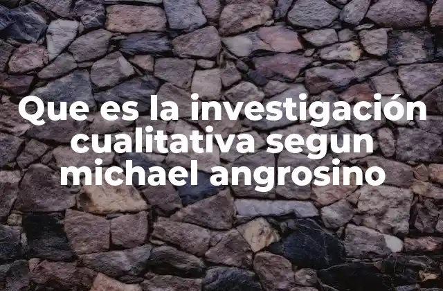 Que es la Investigación Cualitativa Segun Michael Angrosino