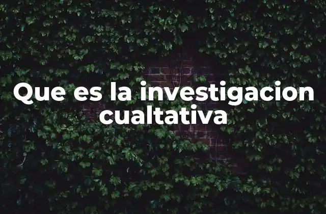 Que es la Investigacion Cualtativa