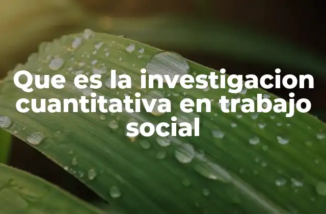 Que es la Investigacion Cuantitativa en Trabajo Social