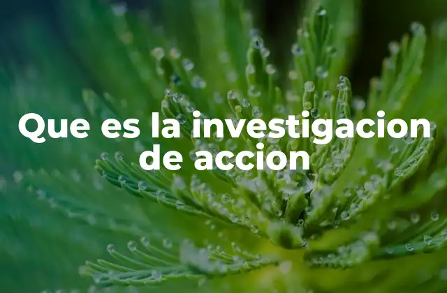 Que es la Investigacion de Accion