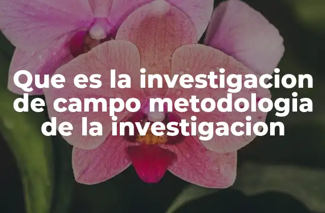 Que es la Investigacion de Campo Metodologia de la Investigacion