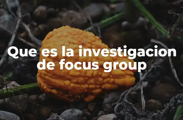 Que es la Investigacion de Focus Group