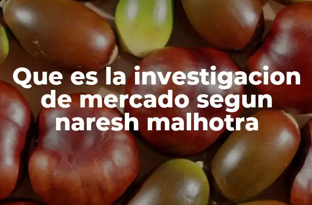 Que es la Investigacion de Mercado Segun Naresh Malhotra