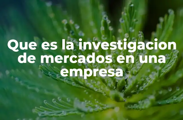 Que es la Investigacion de Mercados en una Empresa