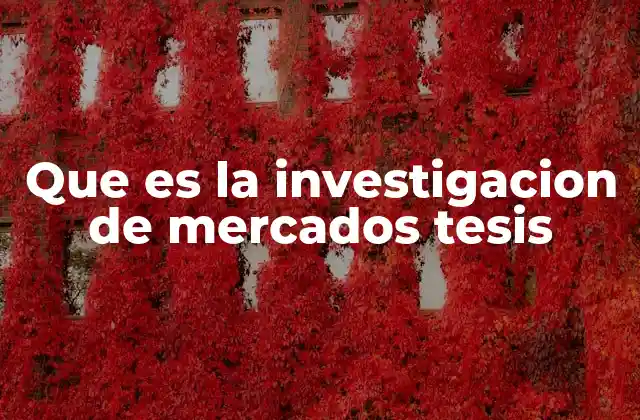 Que es la Investigacion de Mercados Tesis