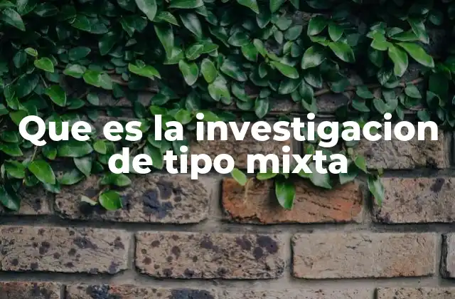 Que es la Investigacion de Tipo Mixta