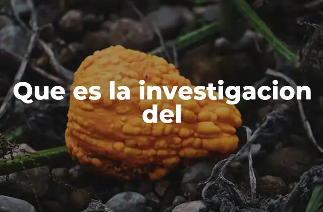 Que es la Investigacion Del