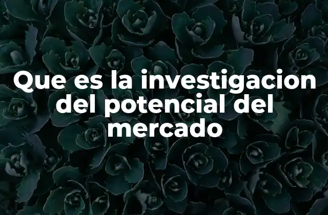 Que es la Investigacion Del Potencial Del Mercado