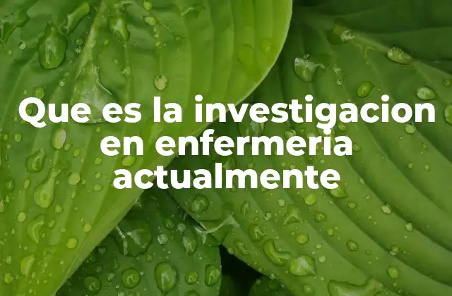 Que es la Investigacion en Enfermeria Actualmente