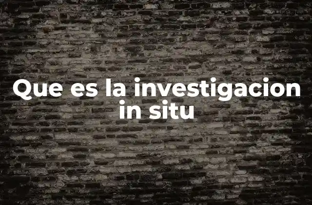 Que es la Investigacion In Situ