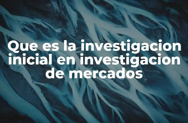 Que es la Investigacion Inicial en Investigacion de Mercados