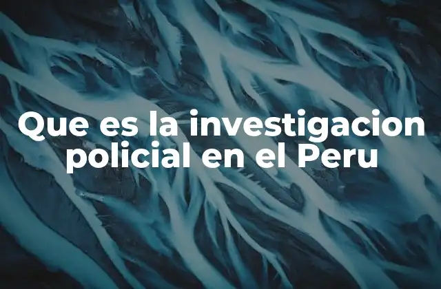 Que es la Investigacion Policial en el Peru