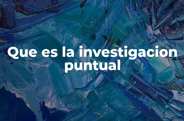 Que es la Investigacion Puntual
