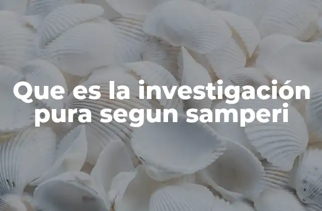 Que es la Investigación Pura Segun Samperi