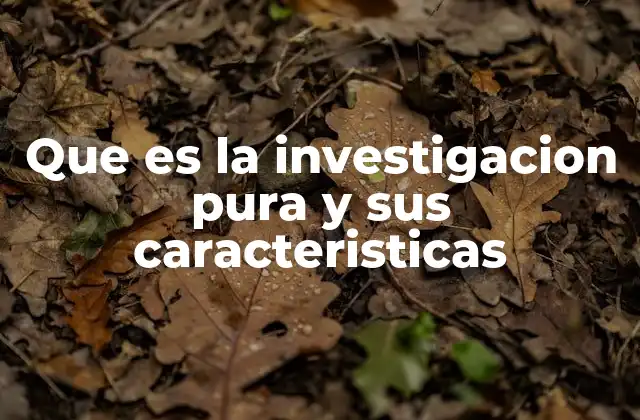 Que es la Investigacion Pura y Sus Caracteristicas