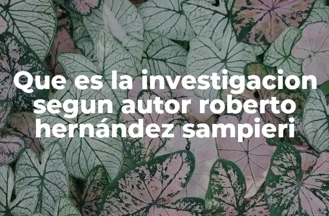 Que es la Investigacion Segun Autor Roberto Hernández Sampieri