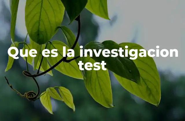 El papel de la investigación test en el desarrollo de proyectos