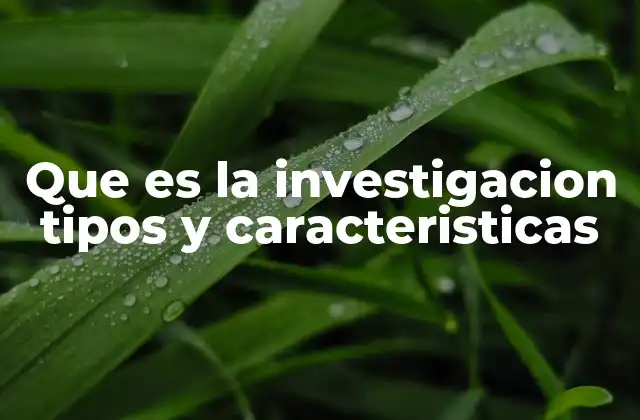 Que es la Investigacion Tipos y Caracteristicas