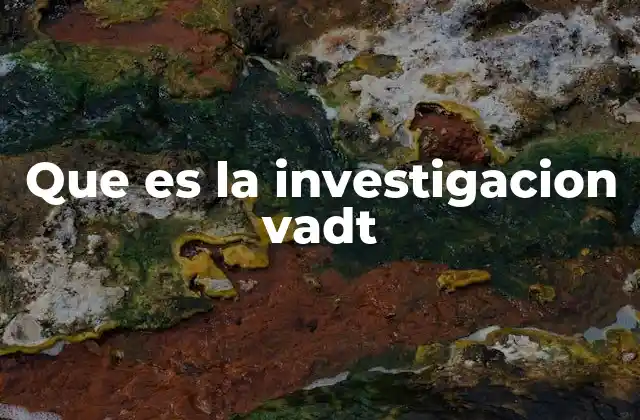 Que es la Investigacion Vadt