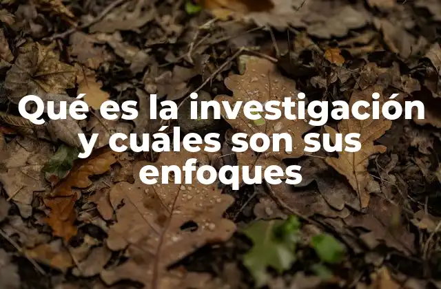 Qué es la Investigación y Cuáles Son Sus Enfoques